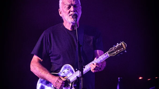 attachment-david-gilmour-wes-shot